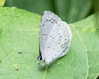 Spring Azure