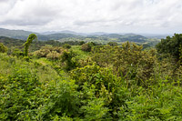 Chacala landscape, El Tuito