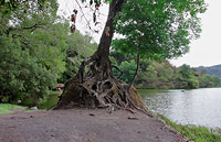 Laguna la María