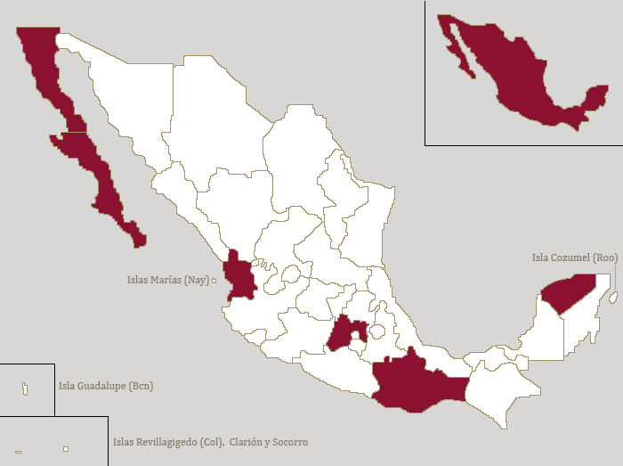 Mexico