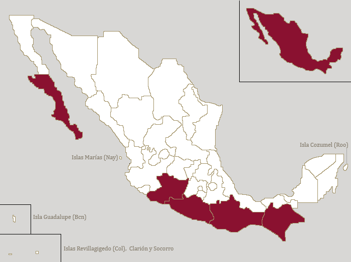 Mexico